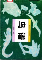 鸟谱