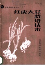 红皮大蒜栽培技术