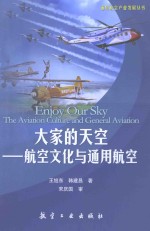 大家的天空 航空文化与通用航空
