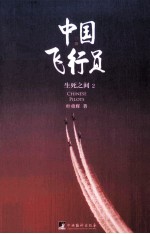 中国飞行员 2 生死之间