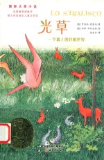 光草 一个墙上的异想世界