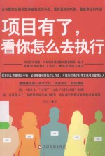 项目有了,看你怎么去执行