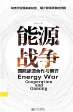 能源战争 国际能源合作与博弈