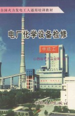 电厂化学设备检修 中级工