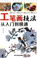 工笔画技法入门到精通 零基础初学者工笔人物画法 中国画技法教程