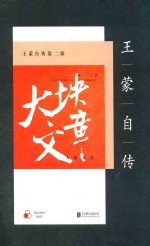 王蒙自传 第2部 大块文章 新版