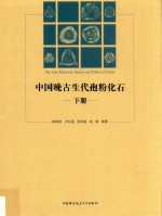 中国晚古生代孢粉化石 下