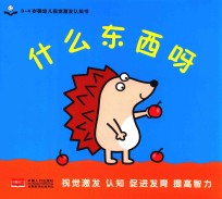 0-4岁婴幼儿视觉激发认知书 什么东西呀