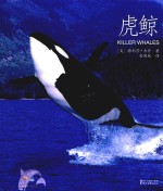 虎鲸