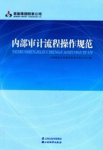 内部审计流程操作规范