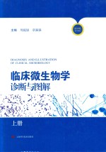 临床微生物学诊断与图解 上 第4版
