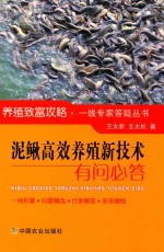 泥鳅高效养殖新技术有问必答