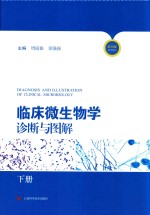 临床微生物学诊断与图解 下 第4版