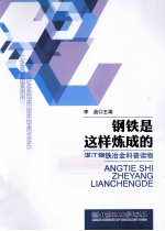 钢铁是这样炼成的 湛江钢铁冶金科普读物