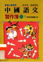 中国语文 习作簿 六下 附答案教师专用