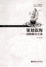 策划蓝海 战略解决方案