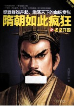 隋朝如此疯狂 长篇小说 杨坚开国
