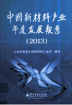 中国新材料产业年度发展报告 2013