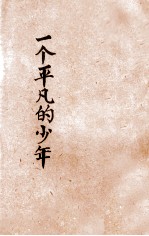 一个平凡的少年
