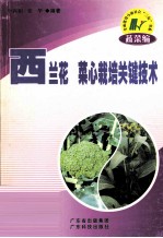 西兰花 菜心栽培关键技术