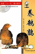养鹌鹑