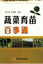 蔬菜育苗百事通