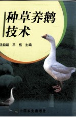 种草养鹅技术