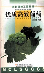 优质高效葡萄