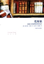 黑塞文集 荒原狼