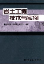 岩土工程技术与实例