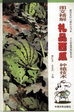 图文精解礼品西瓜种植技术
