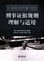 刑事证据规则理解与适用