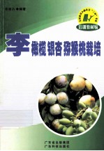 李 橄榄 银杏 猕猴桃栽培