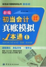 新编初当会计真帐模拟1本通:最新版本:1