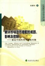 新兴市场货币错配的成因、影响及控制 兼论中国的货币错配问题