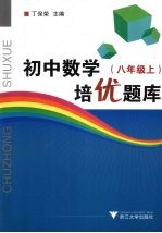 初中数学培优题库 八年级 上