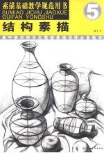结构素描 素描基础教学规范用书 5