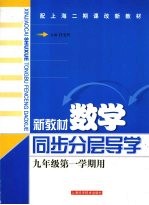 新教材数学 同步·分层·导学 九年级第一学期用
