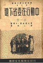 地下省委在行动 第1部