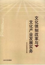 文化体制改革与文化产业发展实务