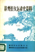 漳州妇女运动史资料 3