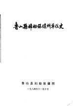 鲁山县妇幼保健所单位史