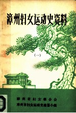 漳州妇女运动史资料 1