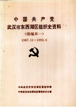 中国共产党武汉市西湖区组织史资料 续编本一 1987.11-1993.6