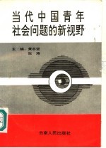 当代中国青年社会问题的新视野