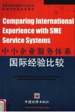 中小企业服务体系国际经验比较