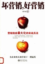 坏营销,好营销 营销效应最大化的实战兵法