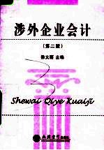 涉外企业会计 第2版