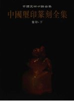 中国玺印篆刻全集 第2卷 玺印 下