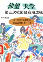 仰望天堂 第三次校园经商潮透视